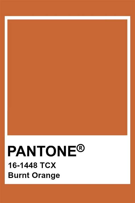 burnt orange pantone